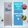 dung tích tủ lạnh RT25HAR4DSA/SV