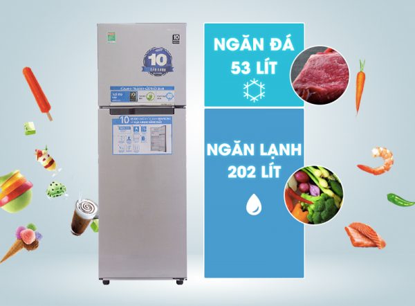 dung tích tủ lạnh RT25HAR4DSA/SV