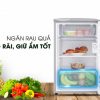 Ngăn giữ ẩm rau củ tiện lợi - Tủ lạnh Aqua 90 lít AQR-95ER (SS)