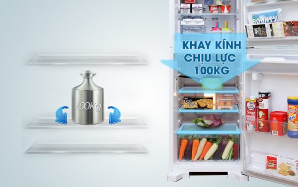 Khả năng chịu lực của mặt kính tủ lạnh R-T190EG1D