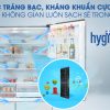 Công nghệ Ag Clean - Tủ lạnh Panasonic Inverter 491 lít NR-F503GT-T2