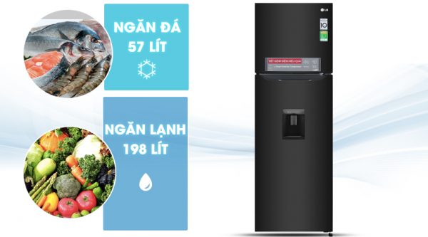 Dung tích 255 lít - Tủ lạnh LG Inverter 255 lít GN-D255BL