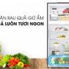 Tủ lạnh LG Inverter 475 lít GN-D602BL - Ngăn rau củ