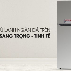 Tủ lạnh LG Inverter 393 lít GN-L422PS