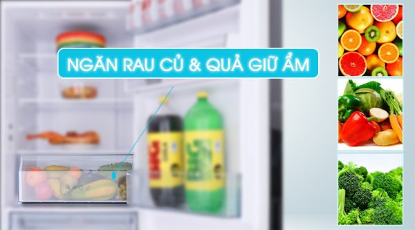 Ngăn rau củ và quả - Tủ lạnh Panasonic Inverter 322 lít NR-BC369QKV2