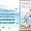 Công nghệ kháng khuẩn Ag Clean - Tủ lạnh Panasonic Inverter 306 lít NR-BL340GAVN