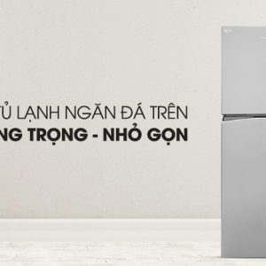 Tủ lạnh Panasonic Inverter 326 lít NR-BL359PSVN