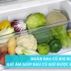 Ngăn rau củ Big Box giữ ẩm tối ưu